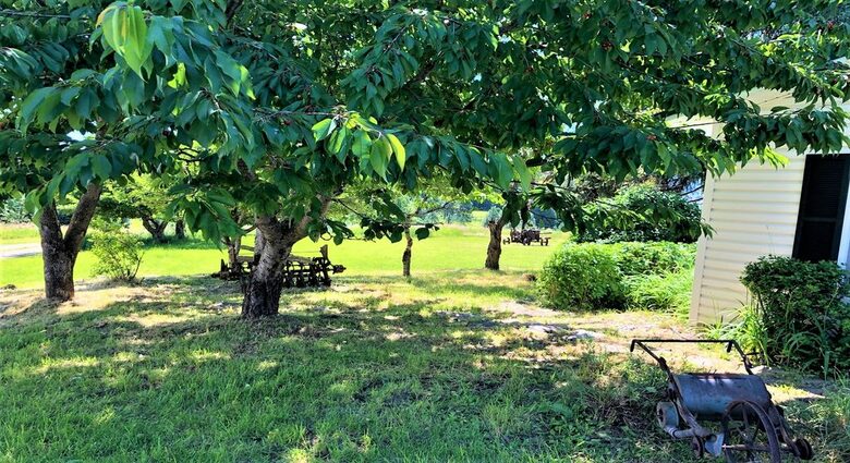 Gilmore Meadows - Coeur d'Alene, Idaho