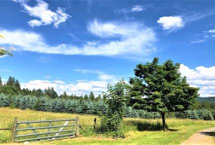 Gilmore Meadows - Coeur d'Alene, Idaho