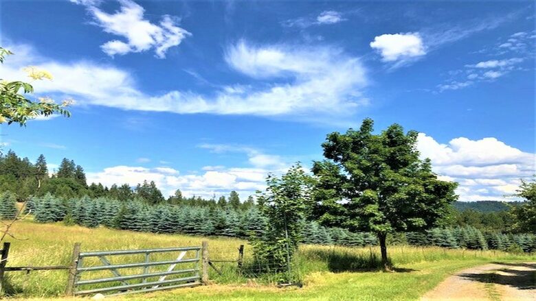 Gilmore Meadows - Coeur d'Alene, Idaho