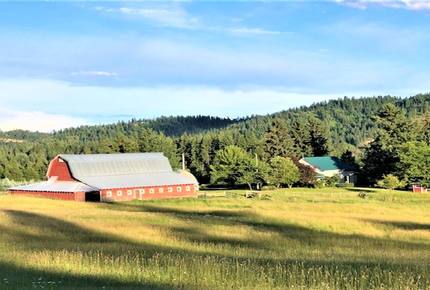 Gilmore Meadows - Coeur d'Alene, Idaho
