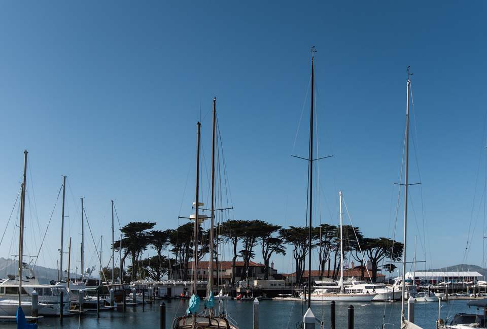 Marina Muse - San Francisco, California