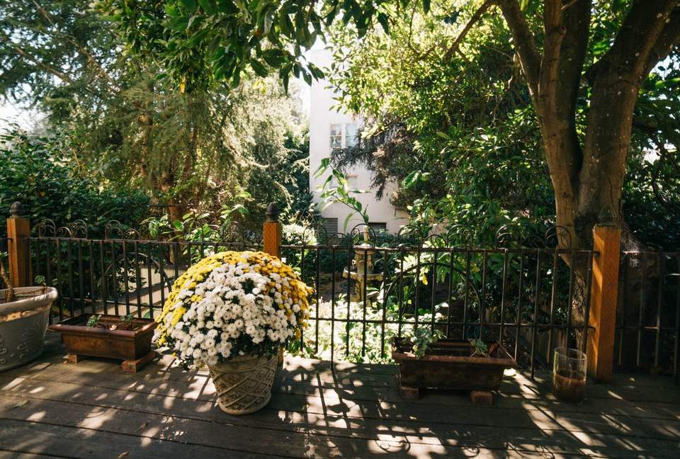 Marina Muse - San Francisco, California