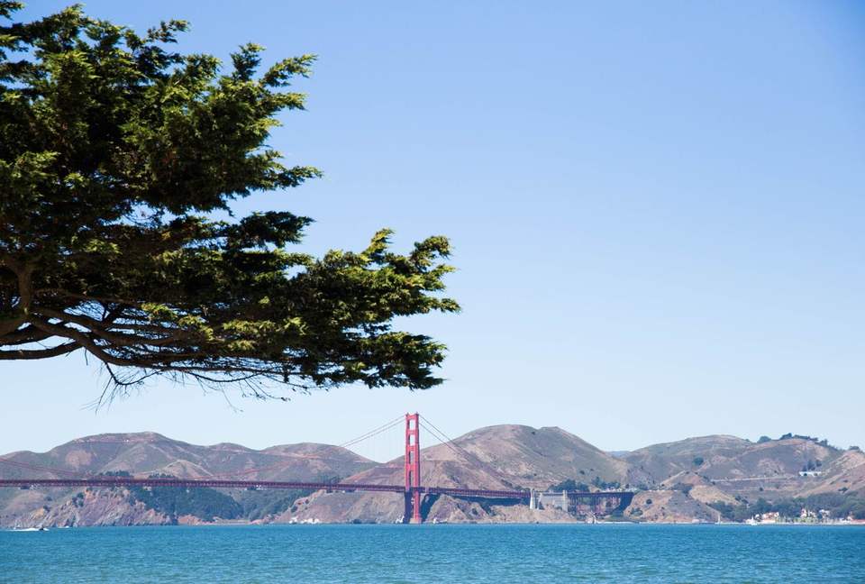 Marina Muse - San Francisco, California