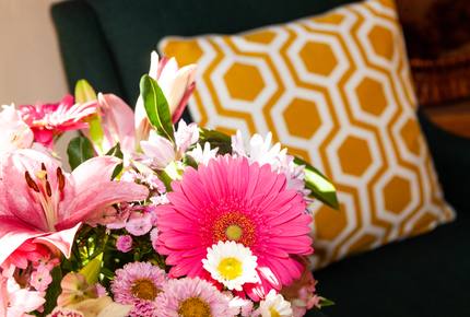 Snow Flower of Steamboat at the Base - Steamboat Springs, Colorado