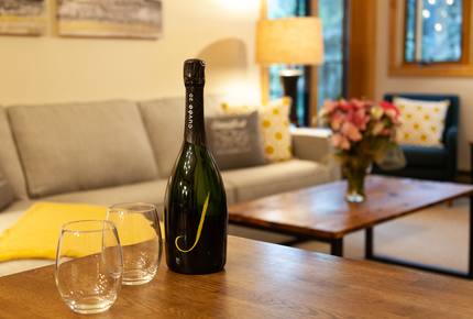 Snow Flower of Steamboat at the Base - Steamboat Springs, Colorado