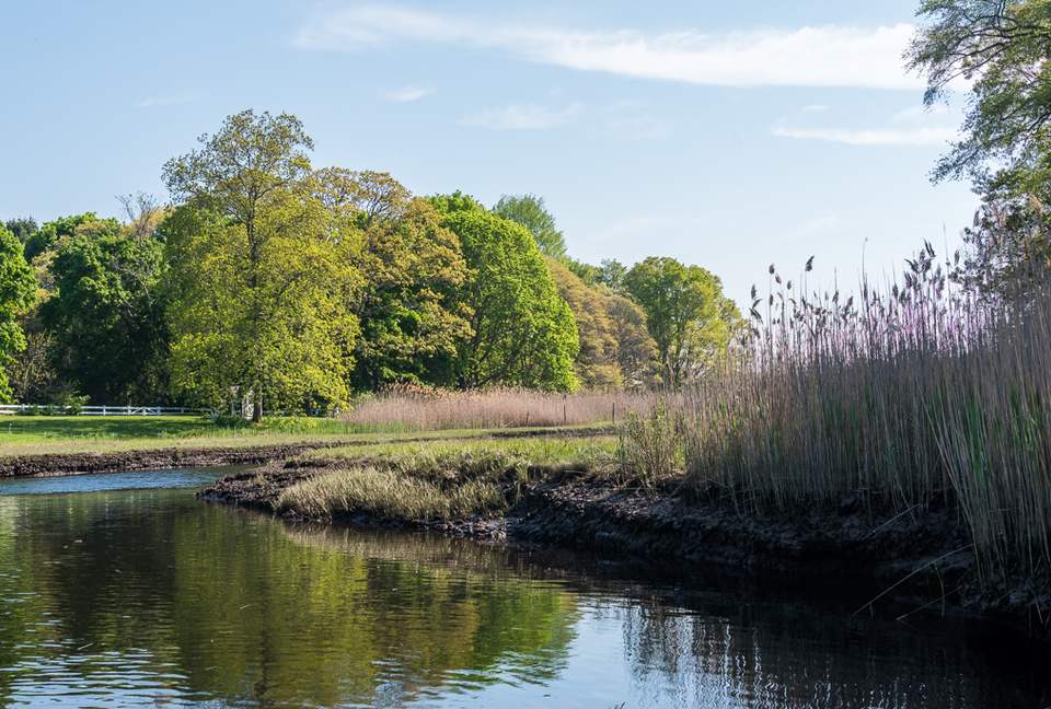 West Beach Family Compound on the CT Shoreline - Westbrook, Connecticut