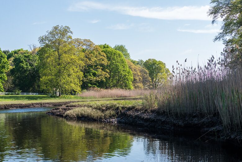 West Beach Family Compound on the CT Shoreline - Westbrook, Connecticut