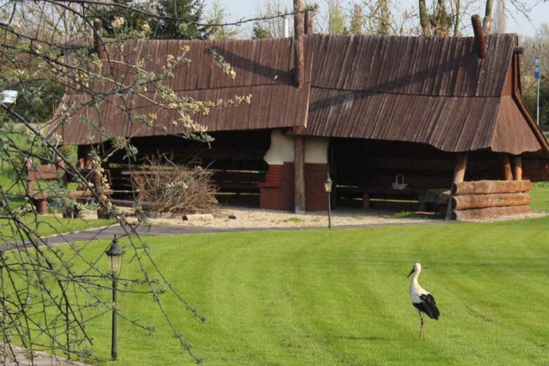 LedowoHouse with Golf Course and Pool - Ledowo, Poland