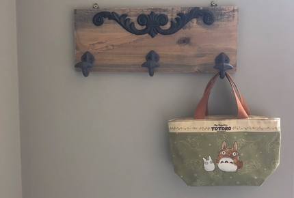 Kelowna Luxury Penthouse - Kelowna, Canada