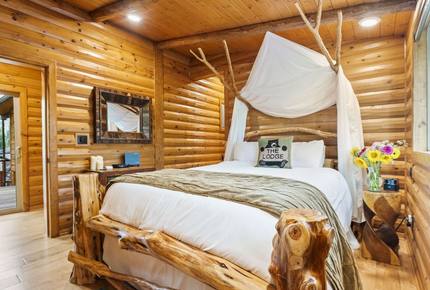 Enchanted Treehouse Lake Tahoe - Stateline, Nevada