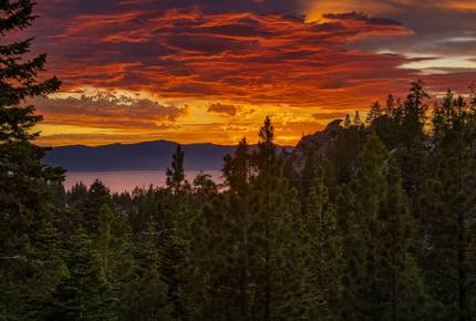 Enchanted Treehouse Lake Tahoe - Stateline, Nevada