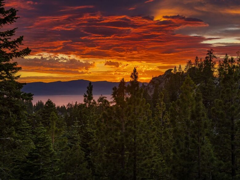 Enchanted Treehouse Lake Tahoe - Stateline, Nevada