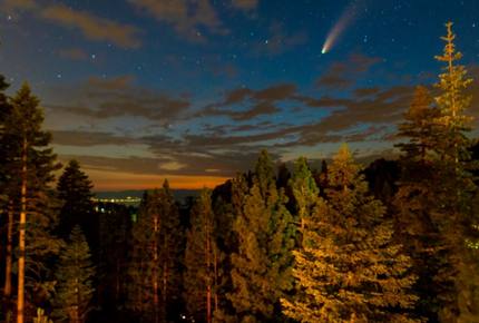 Enchanted Treehouse Lake Tahoe - Stateline, Nevada