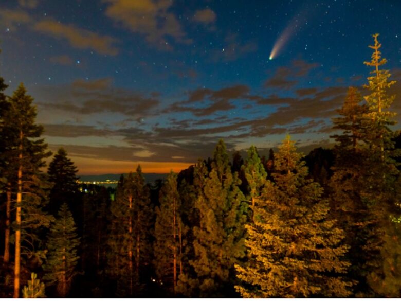 Enchanted Treehouse Lake Tahoe - Stateline, Nevada
