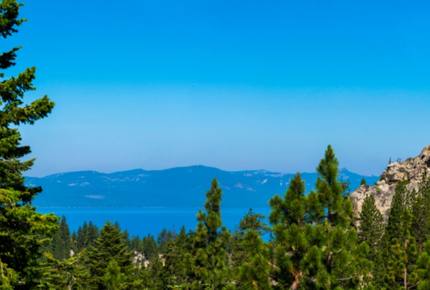 Enchanted Treehouse Lake Tahoe - Stateline, Nevada