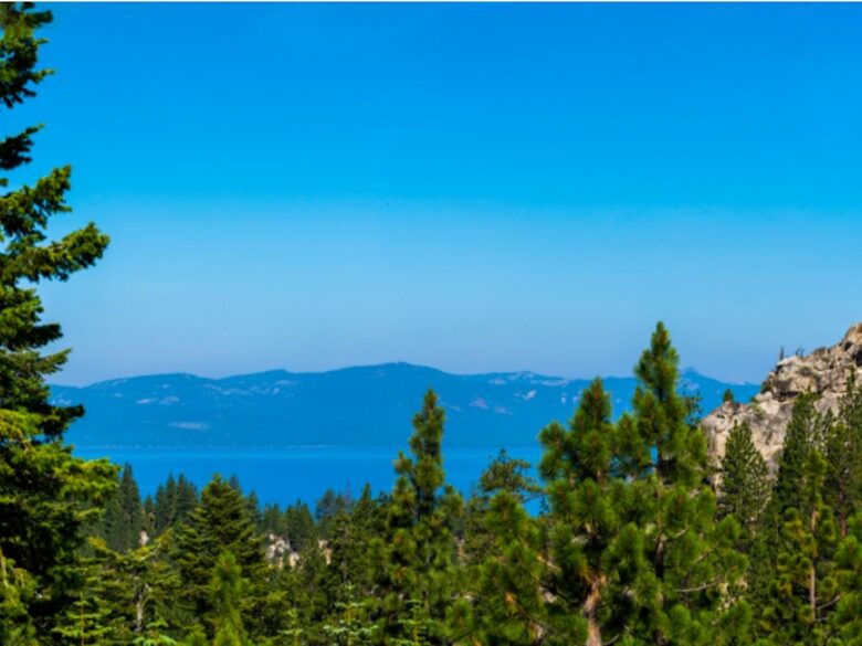 Enchanted Treehouse Lake Tahoe - Stateline, Nevada