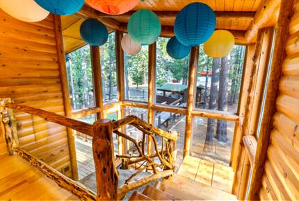 Enchanted Treehouse Lake Tahoe - Stateline, Nevada