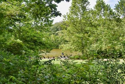 Lakefront Midwest Chalet - Innsbrook, Missouri