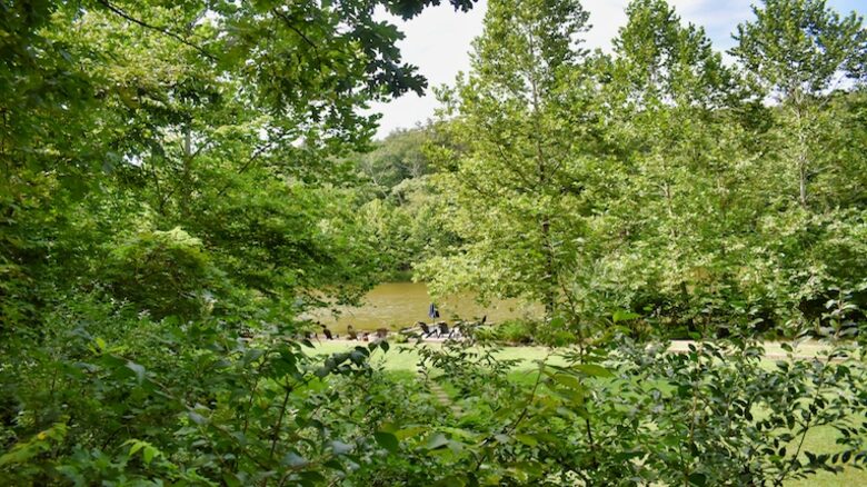 Lakefront Midwest Chalet - Innsbrook, Missouri