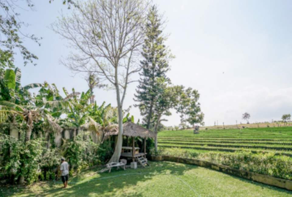 Balinese Rice Field Villa - Berawa Canggu, Indonesia
