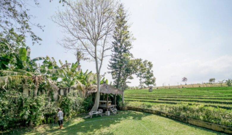 Balinese Rice Field Villa - Berawa Canggu, Indonesia
