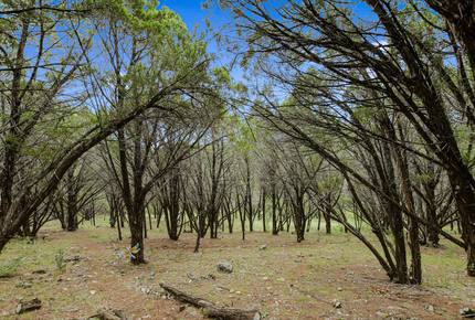 Bluff View Estate - Austin, Texas