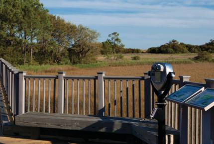 Marriott SurfWatch Hilton Head 2-Bedroom Garden View Villa - Hilton Head, South Carolina