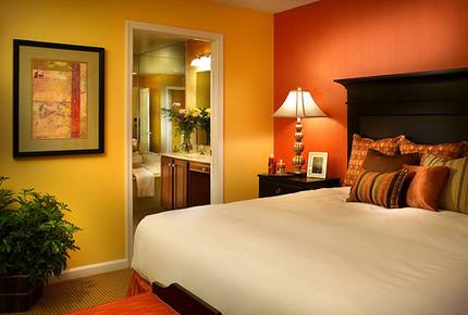 Historic Williamsburg Large Villa - Great for families and history buffs! - Williamsburg, Virginia