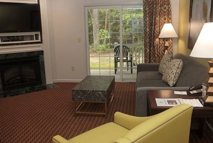 Historic Williamsburg Large Villa - Great for families and history buffs! - Williamsburg, Virginia