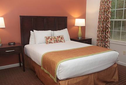 Historic Williamsburg Large Villa - Great for families and history buffs! - Williamsburg, Virginia