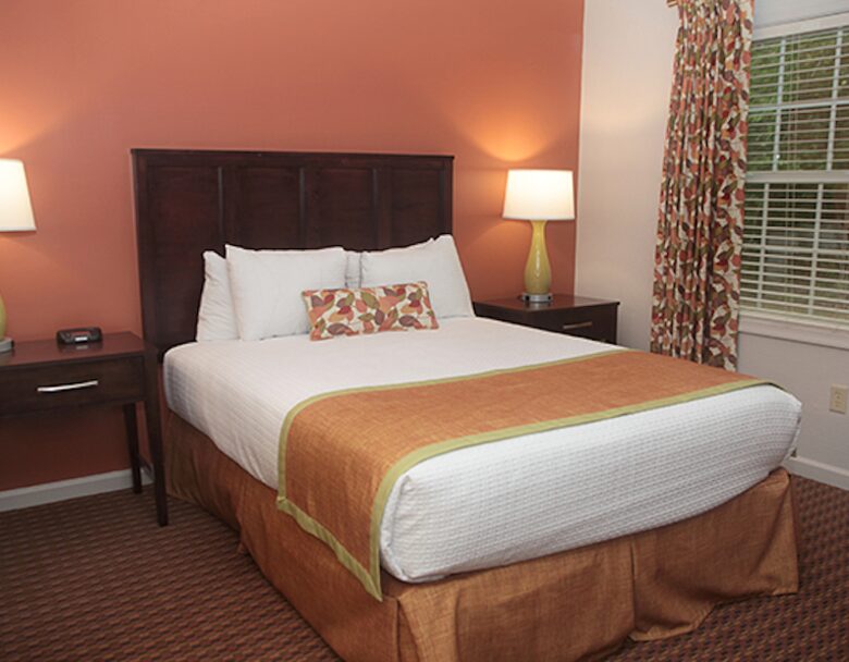 Historic Williamsburg Large Villa - Great for families and history buffs! - Williamsburg, Virginia