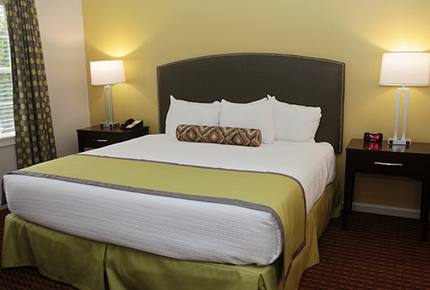 Historic Williamsburg Large Villa - Great for families and history buffs! - Williamsburg, Virginia