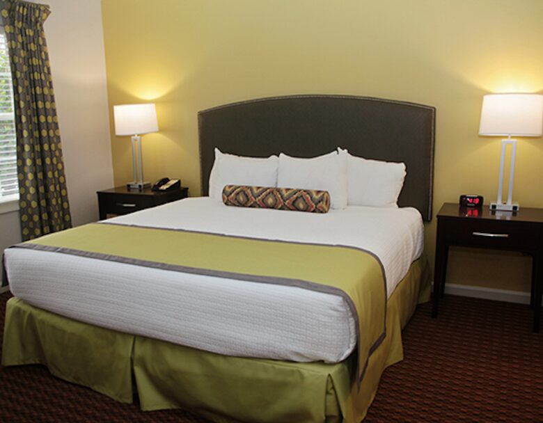 Historic Williamsburg Large Villa - Great for families and history buffs! - Williamsburg, Virginia