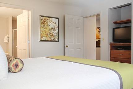 Historic Williamsburg Large Villa - Great for families and history buffs! - Williamsburg, Virginia