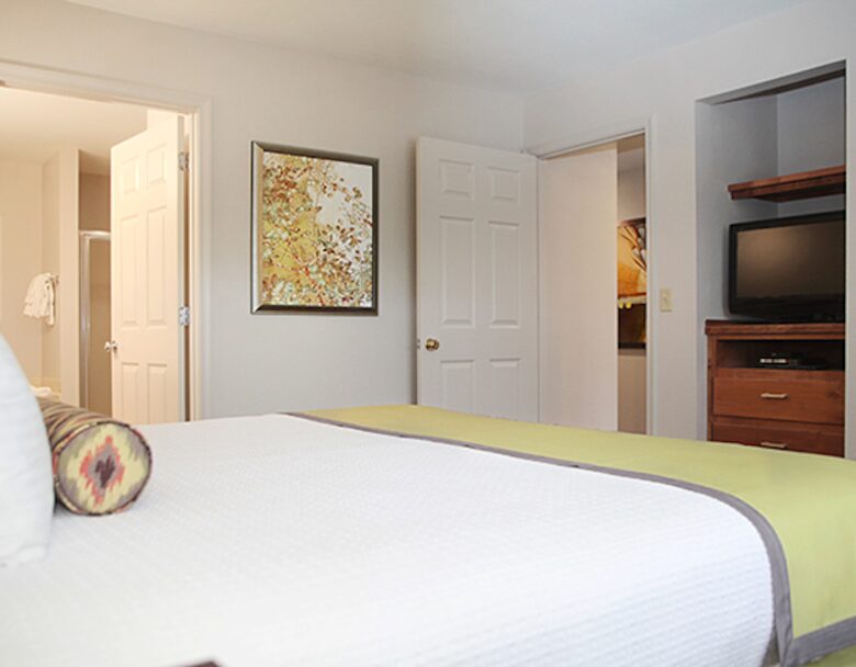 Historic Williamsburg Large Villa - Great for families and history buffs! - Williamsburg, Virginia