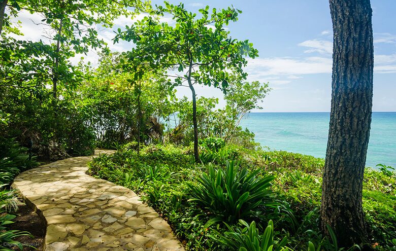 Villa Maji - Luxury Water Oasis Set Amongst the Palms in Cabarete - Cabarete, Dominican Republic