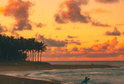 Villa Maji - Luxury Water Oasis Set Amongst the Palms in Cabarete - Cabarete, Dominican Republic
