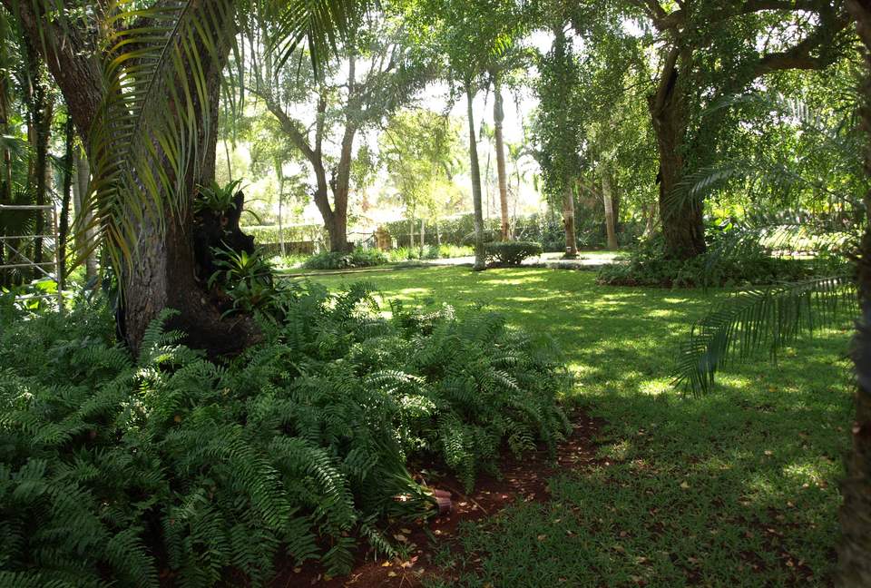 Punta Aguila - LaRomana, Dominican Republic