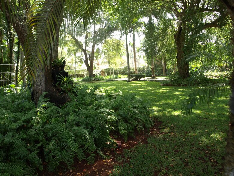 Punta Aguila - LaRomana, Dominican Republic