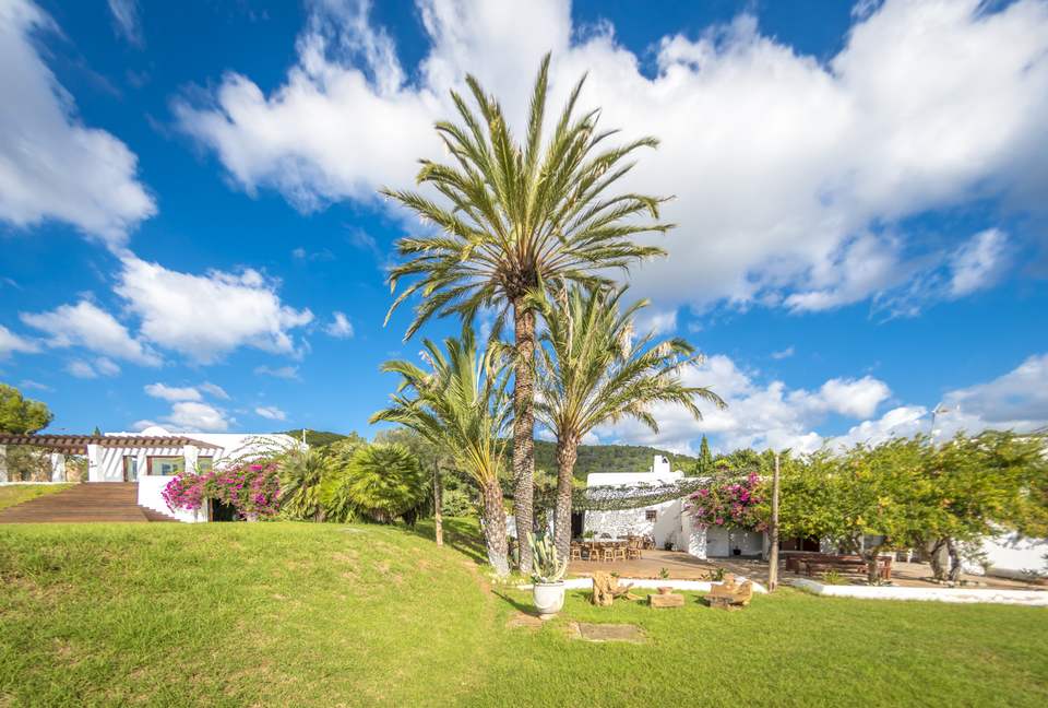 Blue Star (R) - Ibiza, Spain