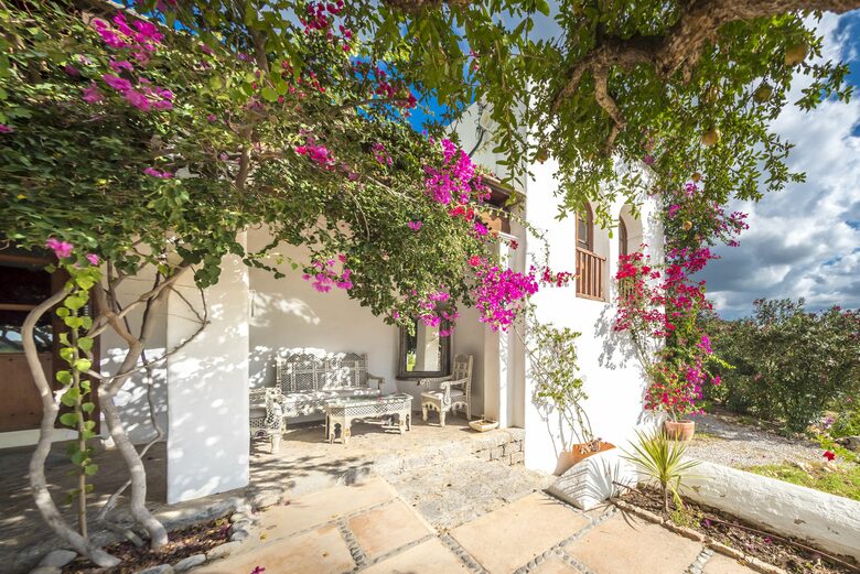 Blue Star (R) - Ibiza, Spain