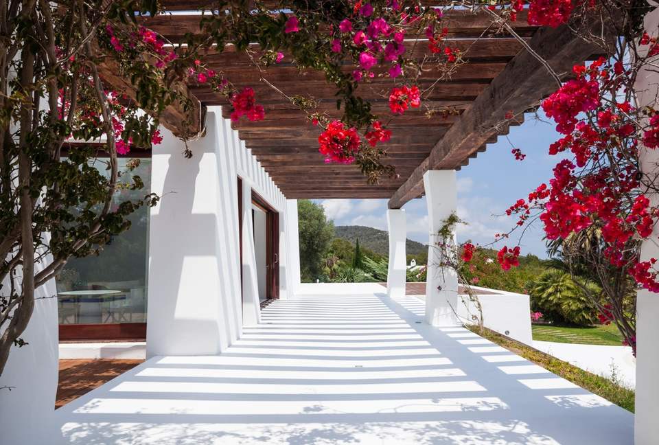 Blue Star (R) - Ibiza, Spain