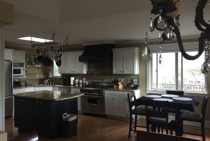 Elegance in the Forest - Monterey, California