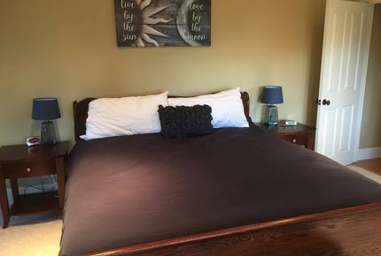 Elegance in the Forest - Monterey, California