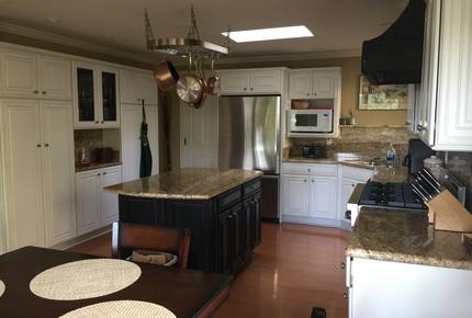 Elegance in the Forest - Monterey, California