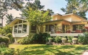 Elegance in the Forest - Monterey, California