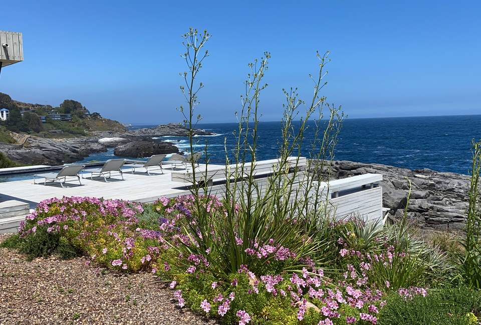 Rambla - Zapallar, Chile