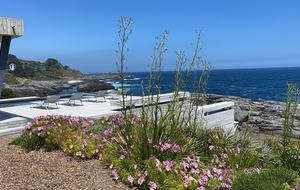 Rambla - Zapallar, Chile