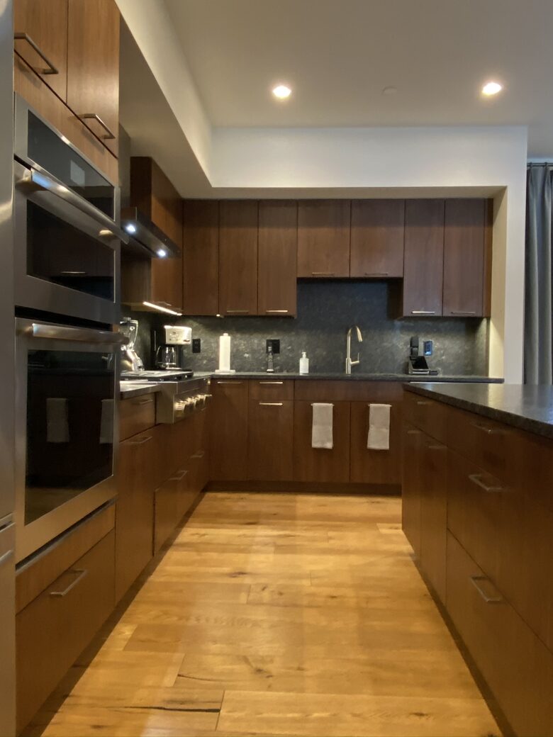 Vail - The Lion Luxury Apartment - Vail, Colorado