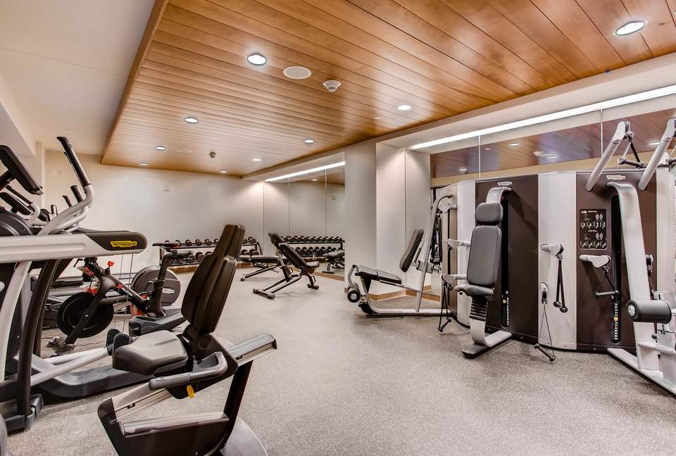 Vail - The Lion Luxury Apartment - Vail, Colorado